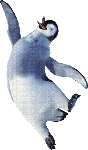 Pinguïn - GIF animado gratis