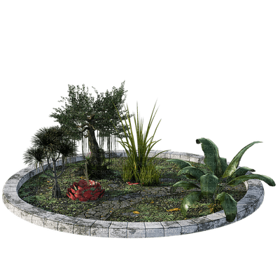 plants, kasvit, luonto, sisustus, nature, decor - png ฟรี