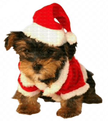 christmas puppy chiots de noel - gratis png