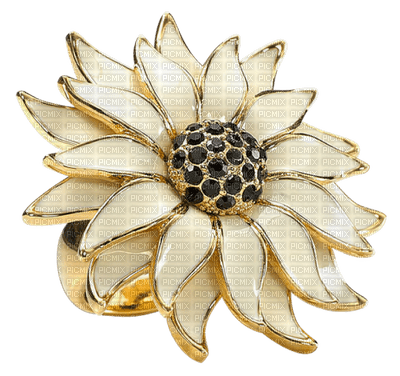 cvijeće nakit - png grátis