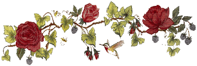 roses rose - Ilmainen animoitu GIF