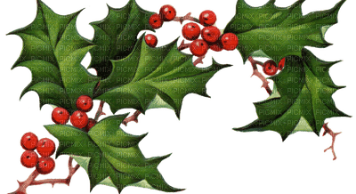 Noel Adam 64 Christmas deko - ücretsiz png