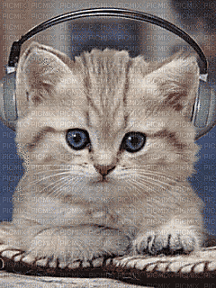 Gato DJ - Gratis animeret GIF