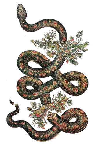 snake - фрее пнг