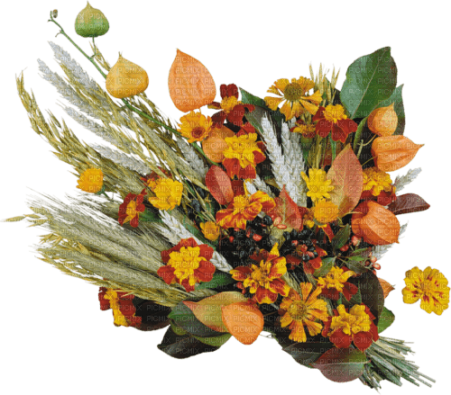 Autumn Fall Flowers - png gratuito