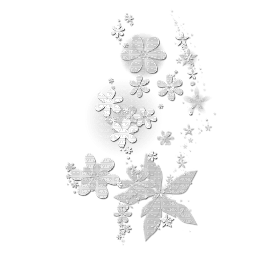 White flowers overlay deco [Basilslament] - png gratuito