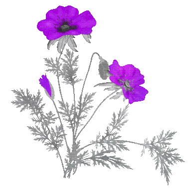 soave deco flowers spring branch animated - Безплатен анимиран GIF
