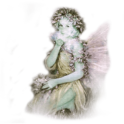fairy time - png gratis