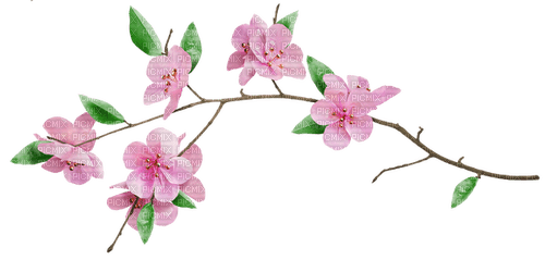 pink flower  4 - gratis png