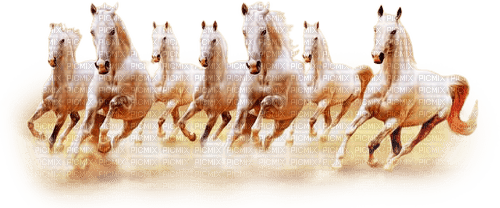 soave animals horse deco brown white - PNG gratuit