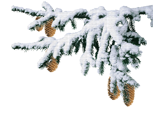 Winter.Branch.Branche.зима.gif.Victoriabea - GIF animé gratuit