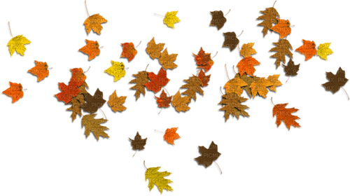 Leaves-RM - PNG gratuit