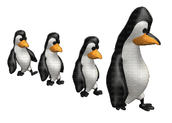 pingouin - Animovaný GIF zadarmo