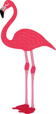 Kaz_Creations Flamingo - darmowe png