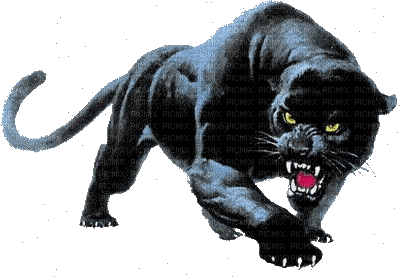 czarna pantera - Besplatni animirani GIF