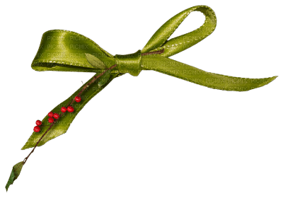 rosett-jul-grön - PNG gratuit