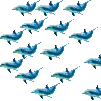 dolphins - 免费动画 GIF