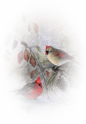 Kaz_Creations Paysage Scenery Winter Birds - gratis png
