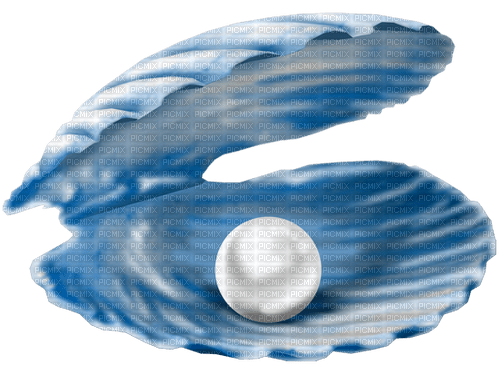 Seashell.Pearls.Blue.White - PNG gratuit