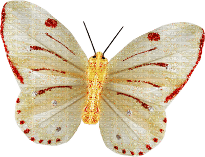 patymirabelle papillon - ücretsiz png