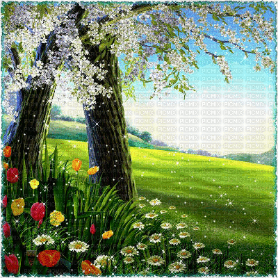 spring background - Бесплатный анимированный гифка