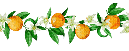 kikkapink border frame tangerine fruit summer - 免费PNG