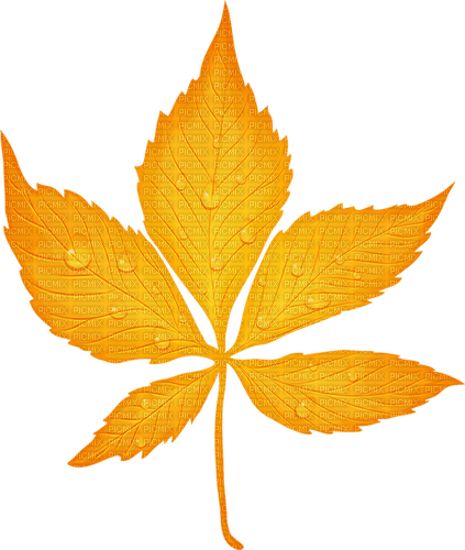 autumn Bb2 - Free PNG