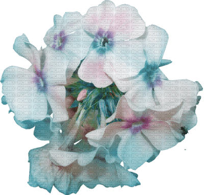 Kaz_Creations Deco  Scrap Colours Flowers - png gratis