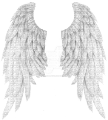 angel wings - png ฟรี