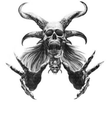 Gothic skull by nataliplus - zdarma png