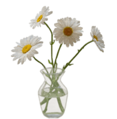 fleur - kostenlos png
