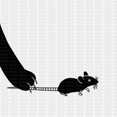 mouse - 免费动画 GIF