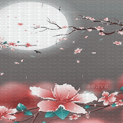 soave background animated  spring pink teal - Animovaný GIF zadarmo