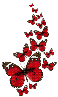 Papillons.S - gratis png