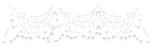 spider web - Free PNG