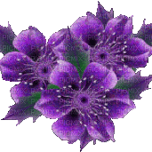 purple flowers 2 - GIF animé gratuit