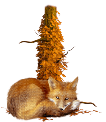 Autumn. Fox. Leila - фрее пнг