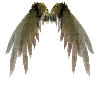 wing flügel coulisses white angel ange engel fantasy tube gif anime animated animation - Zdarma animovaný GIF