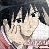 Sakaki - безплатен png
