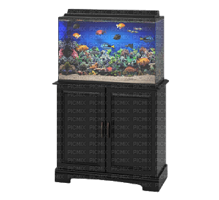 aquarium - Free PNG