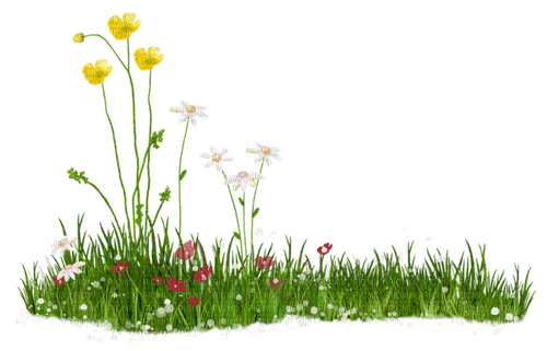 kikkapink deco scrap grass flowers - PNG gratuit