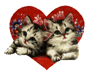 deux chatons dans un coeur - Безплатен анимиран GIF