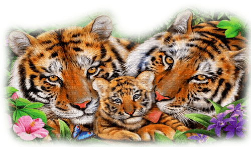 Tiger Family - By KittyKatLuv65 - gratis png