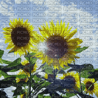 bloemen - GIF animado grátis