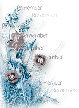 soave deco flowers poppy corner branch text - png grátis