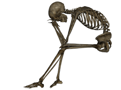skeleton katrin - ilmainen png