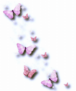 pink peach butterflies - ingyenes png