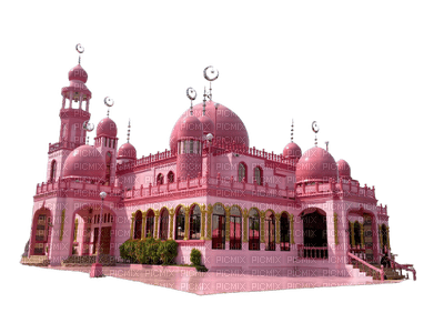 The Pink Mosque - gratis png