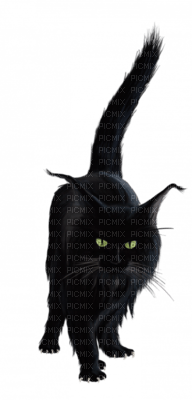 chat ( - kostenlos png