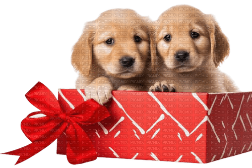 Christmas.Noël.Gift.Dog.Victoriabea - 免费PNG